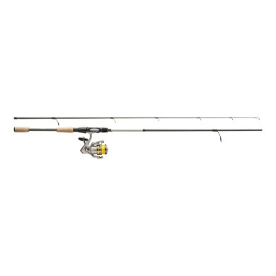 AV80MH40PE16-C
