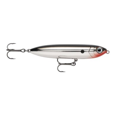 MS
