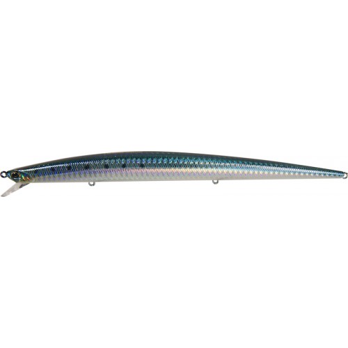 AHA0011 Sardinas