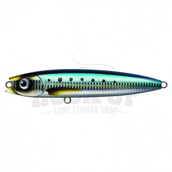 Evergreen True Diver 170 F