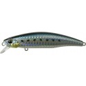 AHA0011 Sardinas