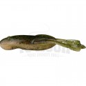 465 Green Pumpkin Frog