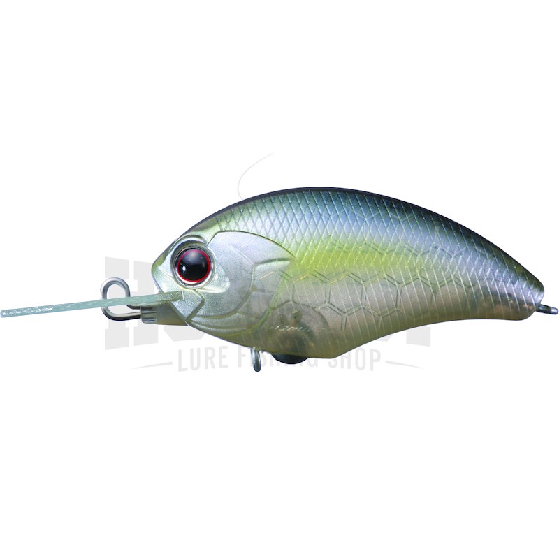 OSP Tiny Blitz MR - Picture 10 of 11