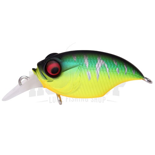Megabass Griffon Bait Finesse SR-X - Picture 9 of 9