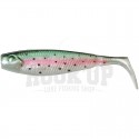 Peces arco iris