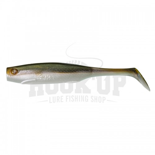 Brown Shiner
