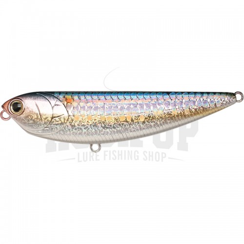 Sábalo americano MS