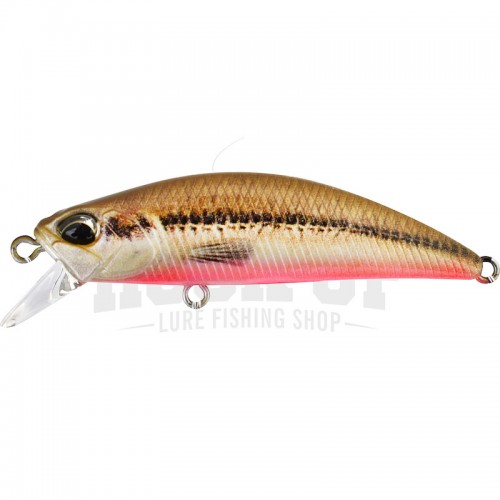 ACC4824 Peces Red Belly