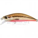 ACC4824 Peces Red Belly