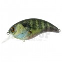 01 Real Blue Gill