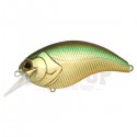 06 Golden Shiner