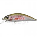 CCC3836 Rainbow Trout ND (Duo anniv)