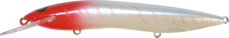 Halco Sorcerer 150 - Imagen 27 de 46