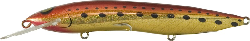 Halco Sorcerer 150 - Imagen 28 de 46