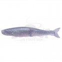 18 Clear Lake Shad