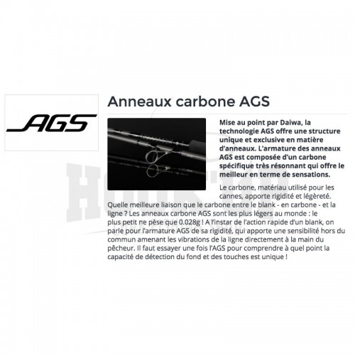 Daiwa Tournament AGS Spinning