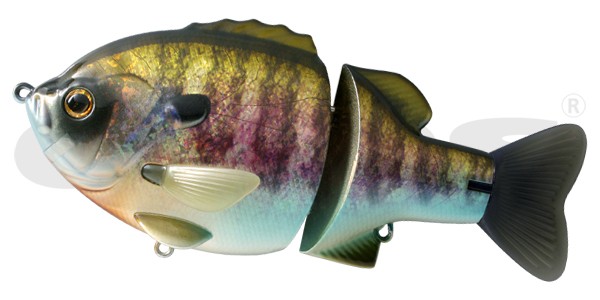Deps Bull Shooter 160 SS - Picture 31 of 35