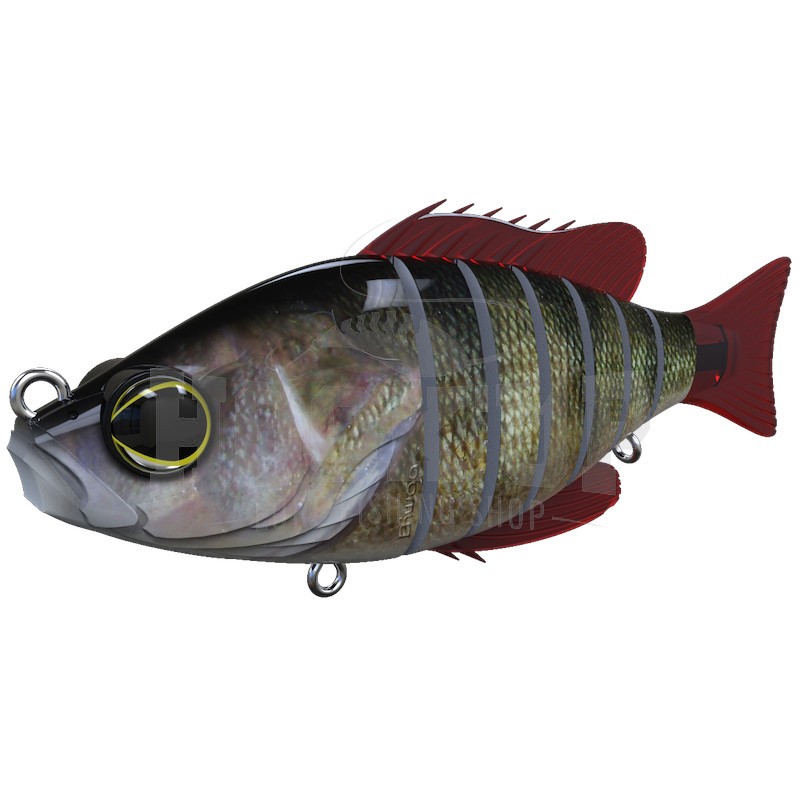 Biwaa Seven 5" - Imagen 11 de 17