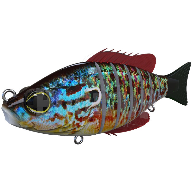 Biwaa Seven 5" - Imagen 15 de 17