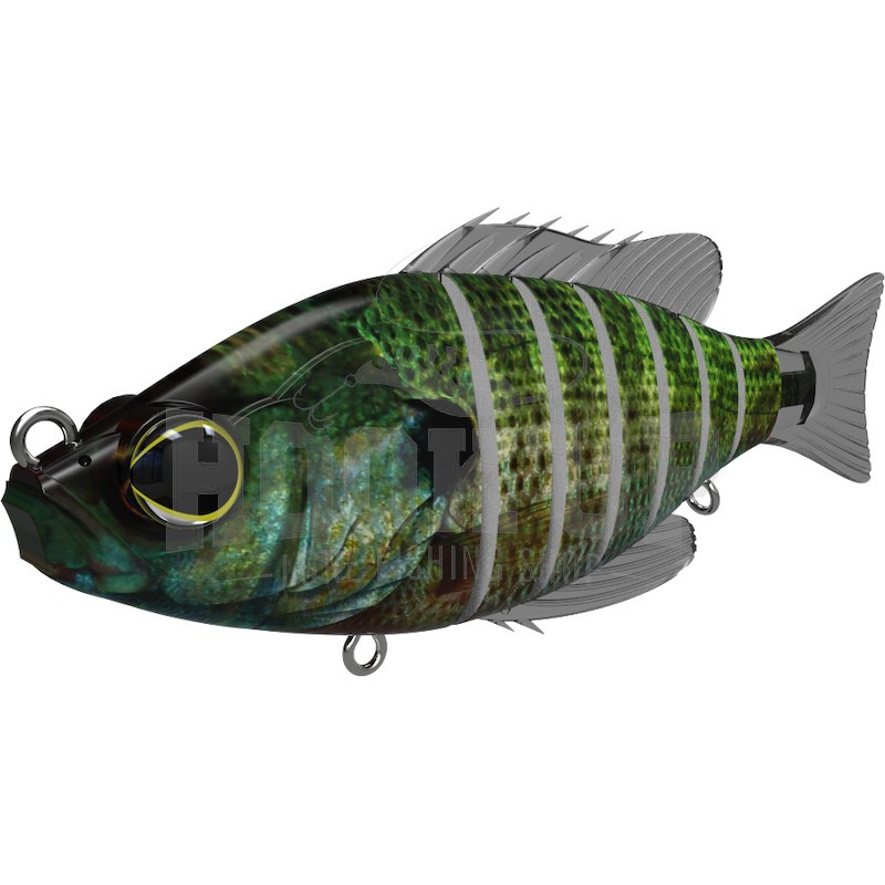 Biwaa Seven 7" - Photo 19/23