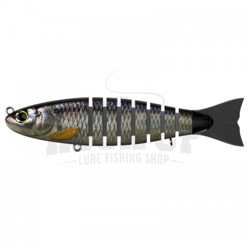 15 US shad