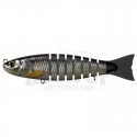 15 US shad