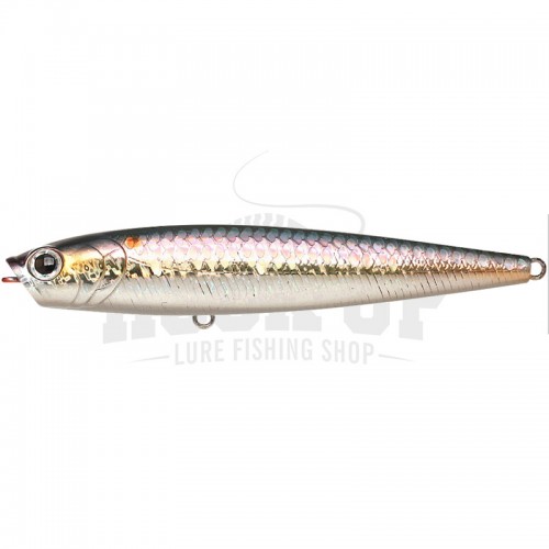 Sábalo americano MS