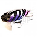 Neon Gill