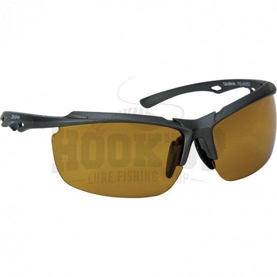 Daiwa Polarized Glasses 2