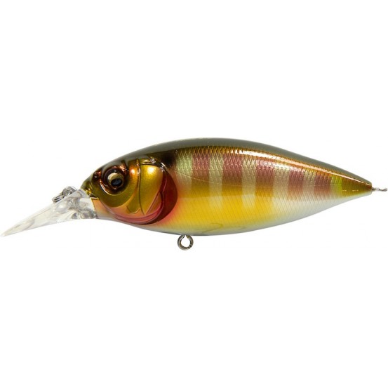 Megabass DX Free 2.0
