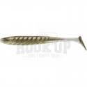 167 Tennessee Shad