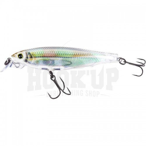 GLASS MINNOW (RGLM)
