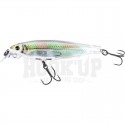 GLASS MINNOW (RGLM)