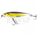 GOLDEN SHINER (RGSN)