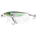 GIZZARD SHAD (RGZS)