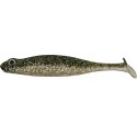 Biwa Higai