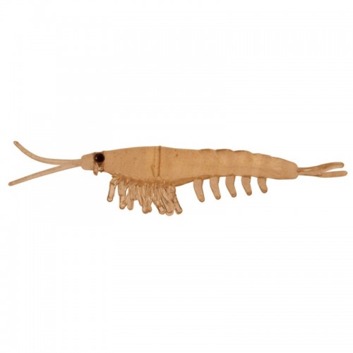 Nikko Oki Ami Shrimp 42
