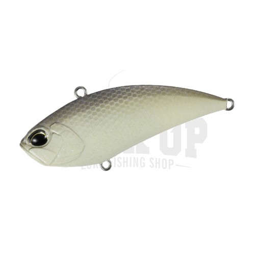 VCCC3276 LV Shad
