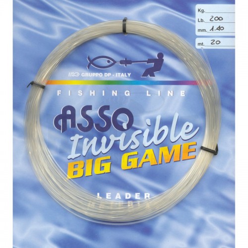 Asso Fluorocarbone Invisible Big Game Main