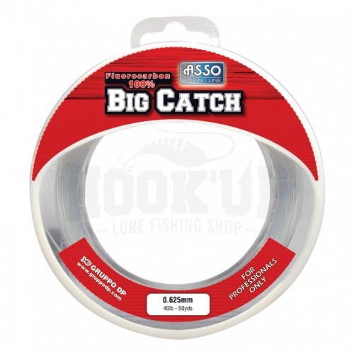 Asso Fluorocarbone Big Catch Main Asso Fluorocarbone Big Catch Main