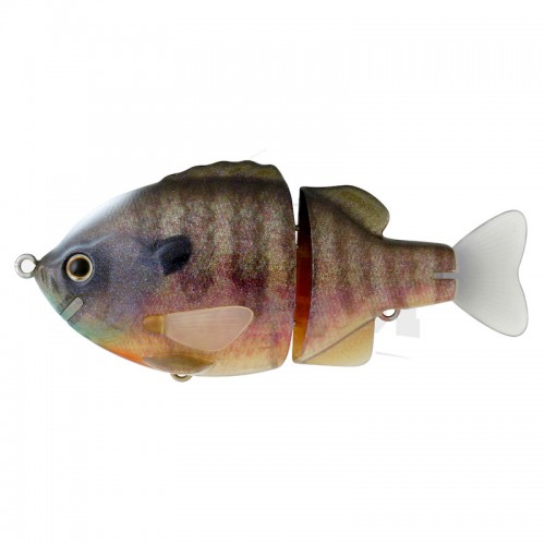 12 Natural Ghost Gill