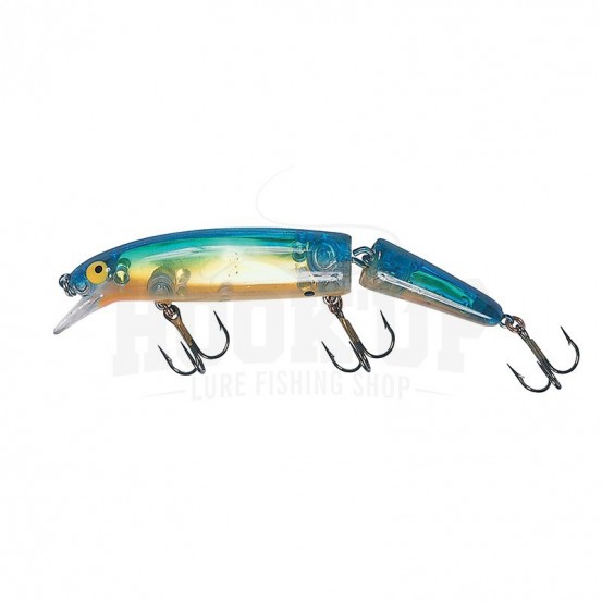 Bomber Long A Articule ARC EN CIEL (AR)
