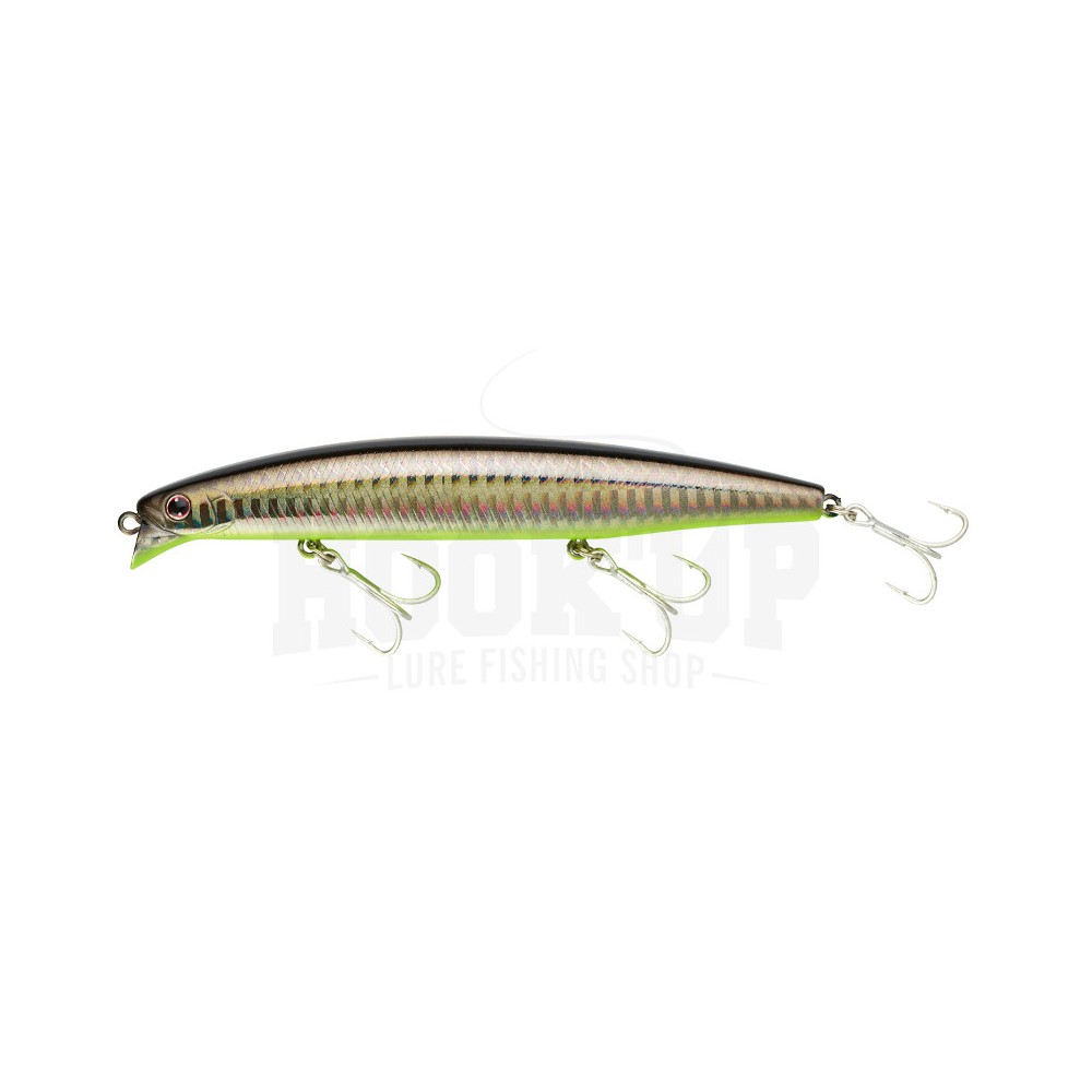 daiwa shore line shiner z vertice 120f
