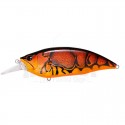 WILD CRAW OB ( SPC )