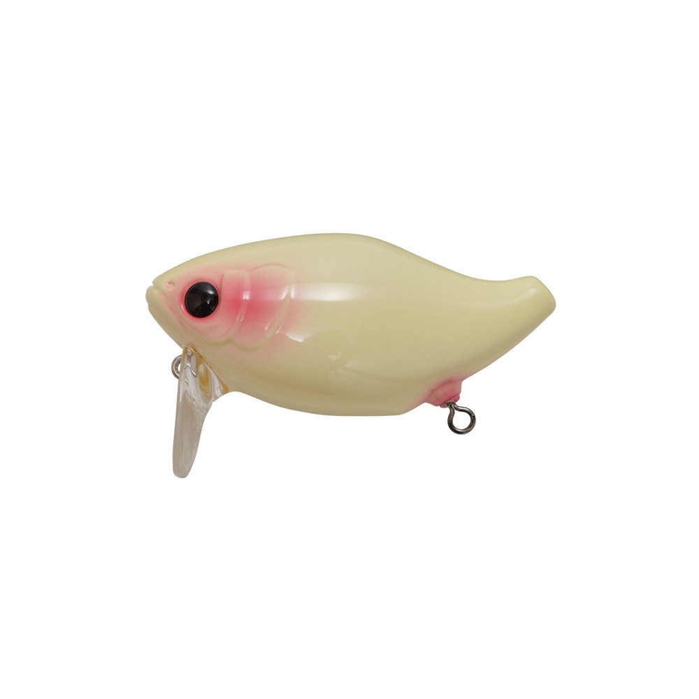 noisy topwater lures