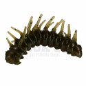 Pimiento verde calabaza