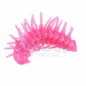 Rosa chicle