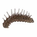 Larva espía