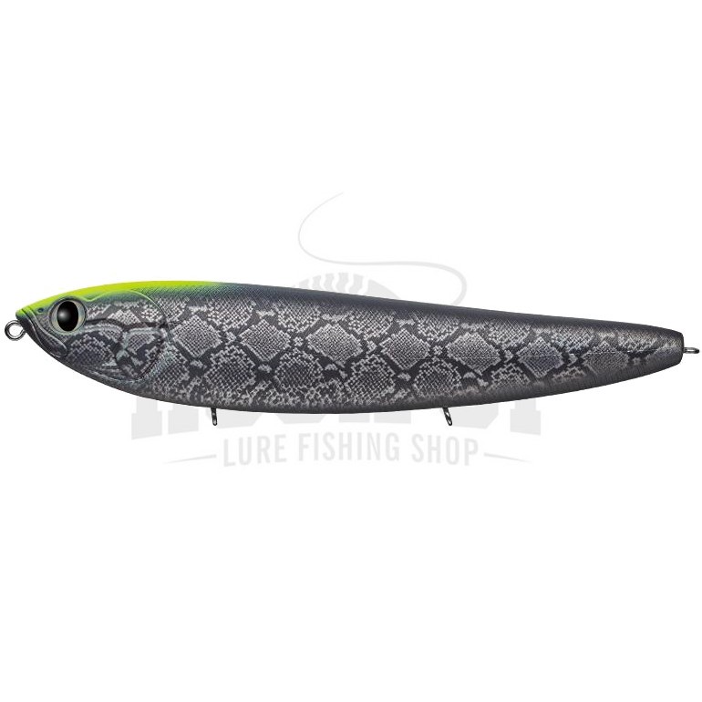 Evergreen Amazon Pencil - Photo 17/17