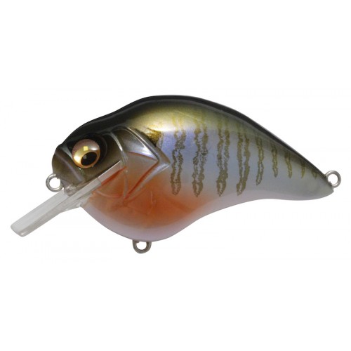 Secret Gill